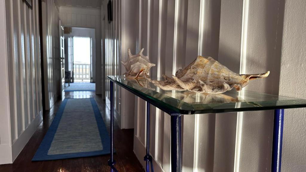 Palheiro Da Ana Apartment Costa Nova Bagian luar foto